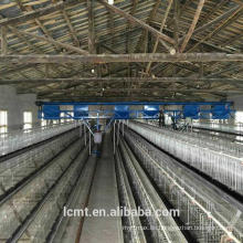 Automatisierte Ausrüstung für dreistufige terrassenförmige Hühnerkäfige